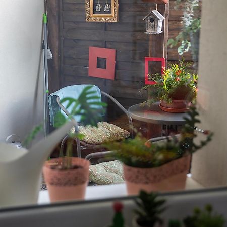בידגוז'יז' Apartament U Olechny 4 מראה חיצוני תמונה