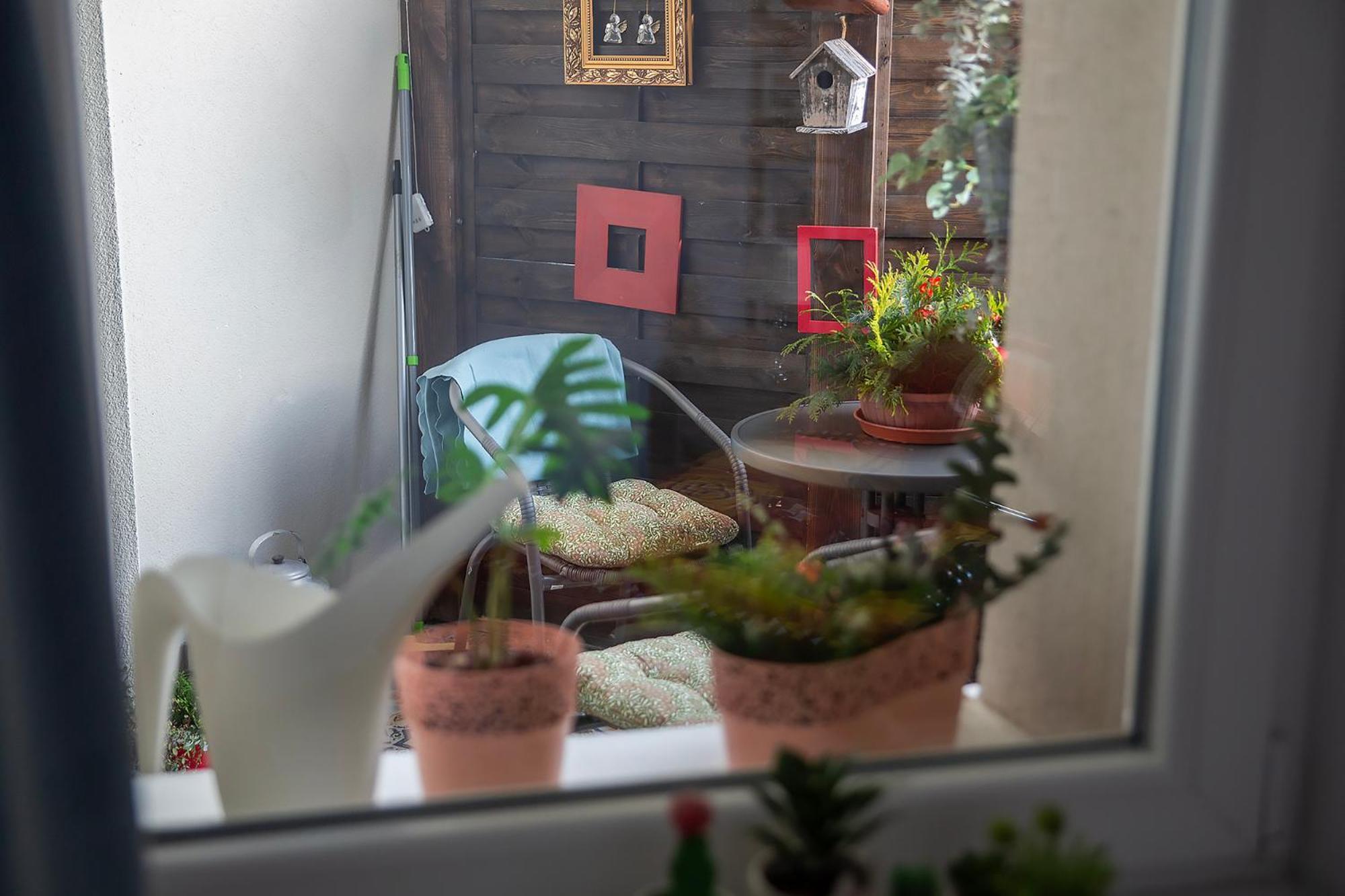 בידגוז'יז' Apartament U Olechny 4 מראה חיצוני תמונה